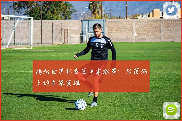 揭秘世界杯各国当家球星：绿茵场上的国家英雄