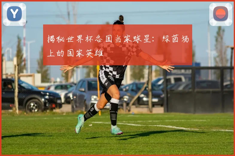揭秘世界杯各国当家球星：绿茵场上的国家英雄