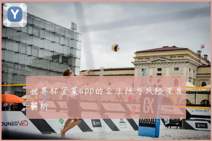 世界杯菠菜app的合法性与风险深度解析